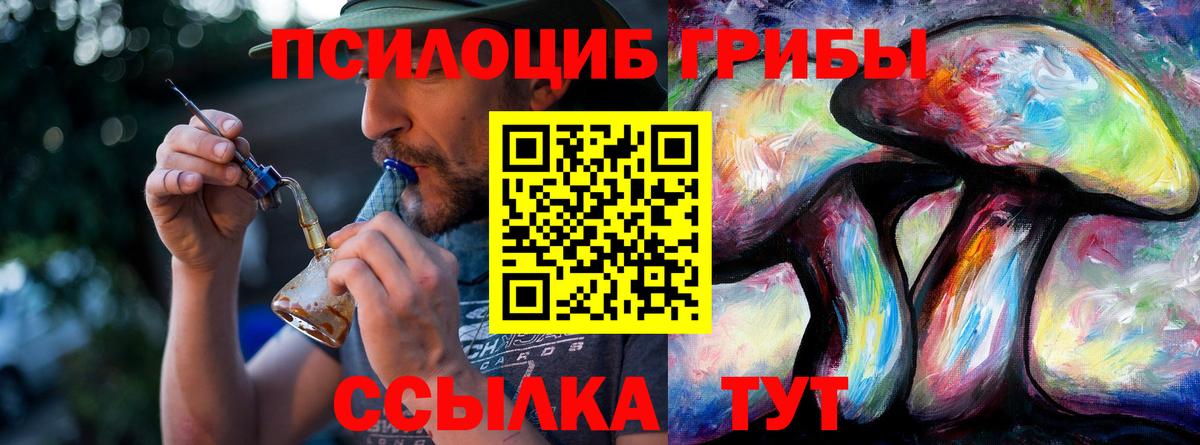 Галлюциногенные грибы прущие грибы  Вход с VPN  Чистополь  Галлюциногенные грибы MAGIC MUSHROOMS 