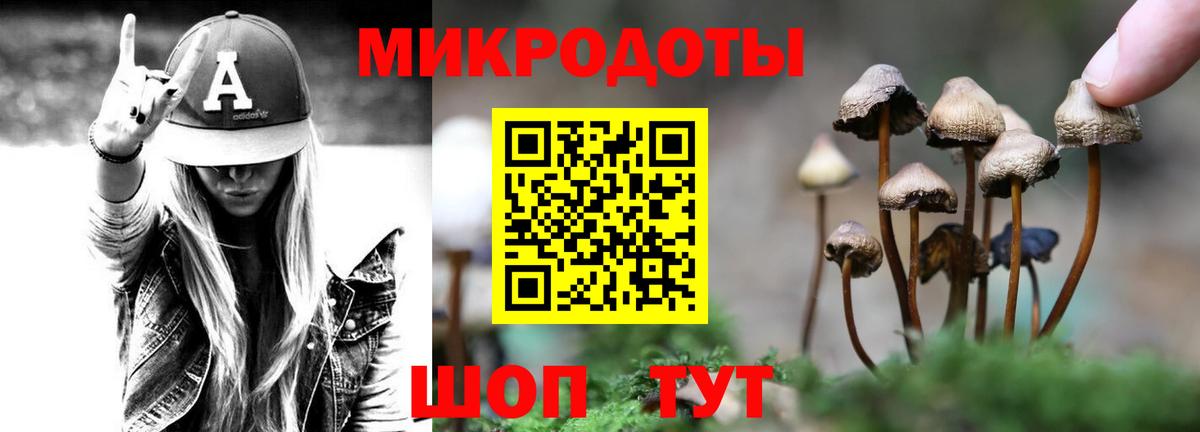 Галлюциногенные грибы мицелий Чистополь
